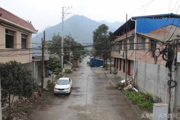 绵阳市爱国卫生工作总体情况