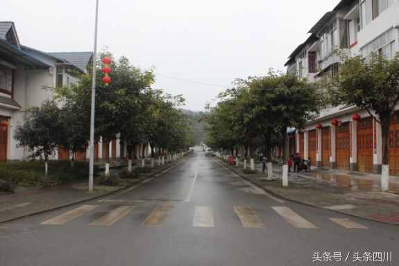 绵阳市爱国卫生工作总体情况