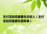 支付宝如何查看年总收入（支付宝如何查看年度账单）
