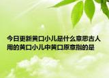 今日更新黄口小儿是什么意思古人用的黄口小儿中黄口原意指的是