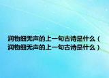 润物细无声的上一句古诗是什么（润物细无声的上一句古诗是什么）