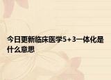 今日更新临床医学5+3一体化是什么意思