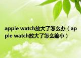 apple watch放大了怎么办（apple watch放大了怎么缩小）