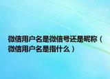 微信用户名是微信号还是昵称（微信用户名是指什么）