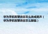 华为手机智慧语音怎么改成男声（华为手机智慧语音怎么卸载）