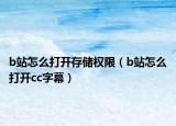 b站怎么打开存储权限（b站怎么打开cc字幕）