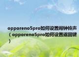 opporeno5pro如何设置闹钟铃声（opporeno5pro如何设置返回键）