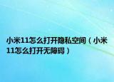 小米11怎么打开隐私空间（小米11怎么打开无障碍）