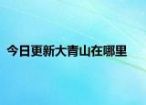 今日更新大青山在哪里
