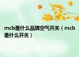 mcb是什么品牌空气开关（mcb是什么开关）