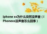 iphone xs为什么突然没声音（iPhonexs没声音怎么回事）