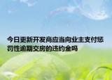 今日更新开发商应当向业主支付惩罚性逾期交房的违约金吗