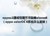 oppoa1鑳戒笉鑳芥洿鏂癱oloros6（oppo colorOS 6系统怎么更新）
