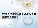 vivo下拉搜索关闭（vivos9下滑搜索怎么关闭）