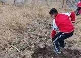 今日更新中队活动总结（植树节活动总结）
