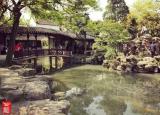 今日更新苏州狮子林门票（拙政园和狮子林哪个好玩）