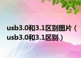 usb3.0和3.1区别图片（usb3.0和3.1区别）