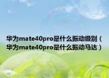 华为mate40pro是什么振动级别（华为mate40pro是什么振动马达）