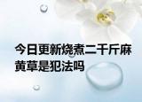 今日更新烧煮二千斤麻黄草是犯法吗