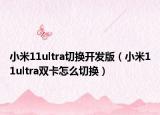 小米11ultra切换开发版（小米11ultra双卡怎么切换）