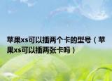 苹果xs可以插两个卡的型号（苹果xs可以插两张卡吗）