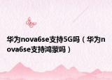 华为nova6se支持5G吗（华为nova6se支持鸿蒙吗）