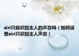 siri只能识别主人的声音吗（如何设置siri只识别主人声音）