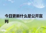 今日更新什么是公开宣判