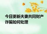 今日更新夫妻共同财产诈骗如何处理