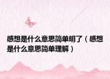 感想是什么意思简单明了（感想是什么意思简单理解）