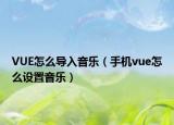 VUE怎么导入音乐（手机vue怎么设置音乐）