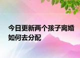 今日更新两个孩子离婚如何去分配