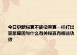 今日更新绿豆不能像黄豆一样打出豆浆原因与什么有关绿豆有哪些功效