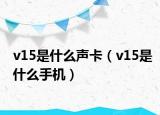 v15是什么声卡（v15是什么手机）