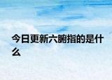 今日更新六腑指的是什么