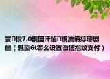 寰俊7.0鎸囩汗鏀粯濡備綍璁剧疆（魅蓝6t怎么设置微信指纹支付）