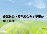 皮革鞋染上颜色怎么办（苹果xr属于几代）