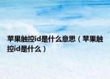 苹果触控id是什么意思（苹果触控id是什么）