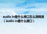 audio in是什么接口怎么测网速（audio in是什么接口）