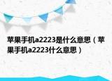 苹果手机a2223是什么意思（苹果手机a2223什么意思）