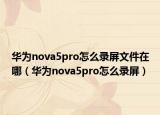 华为nova5pro怎么录屏文件在哪（华为nova5pro怎么录屏）