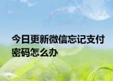 今日更新微信忘记支付密码怎么办