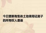 今日更新有集体土地使用证房子的所有权人是谁
