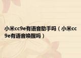 小米cc9e有语音助手吗（小米cc9e有语音唤醒吗）