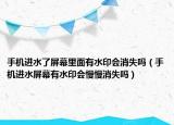 手机进水了屏幕里面有水印会消失吗（手机进水屏幕有水印会慢慢消失吗）