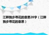 江畔独步寻花的意思20字（江畔独步寻花的意思）