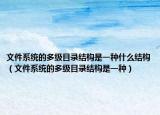 文件系统的多级目录结构是一种什么结构（文件系统的多级目录结构是一种）