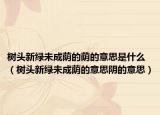树头新绿未成荫的荫的意思是什么（树头新绿未成荫的意思阴的意思）