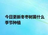 今日更新冬枣树苗什么季节种植