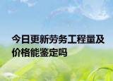 今日更新劳务工程量及价格能鉴定吗